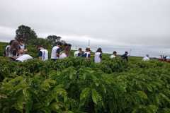 WhatsApp-Image-2022-04-18-at-10.51.12-1